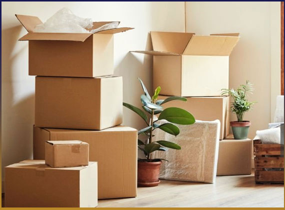 Quick Packers and Movers Noida